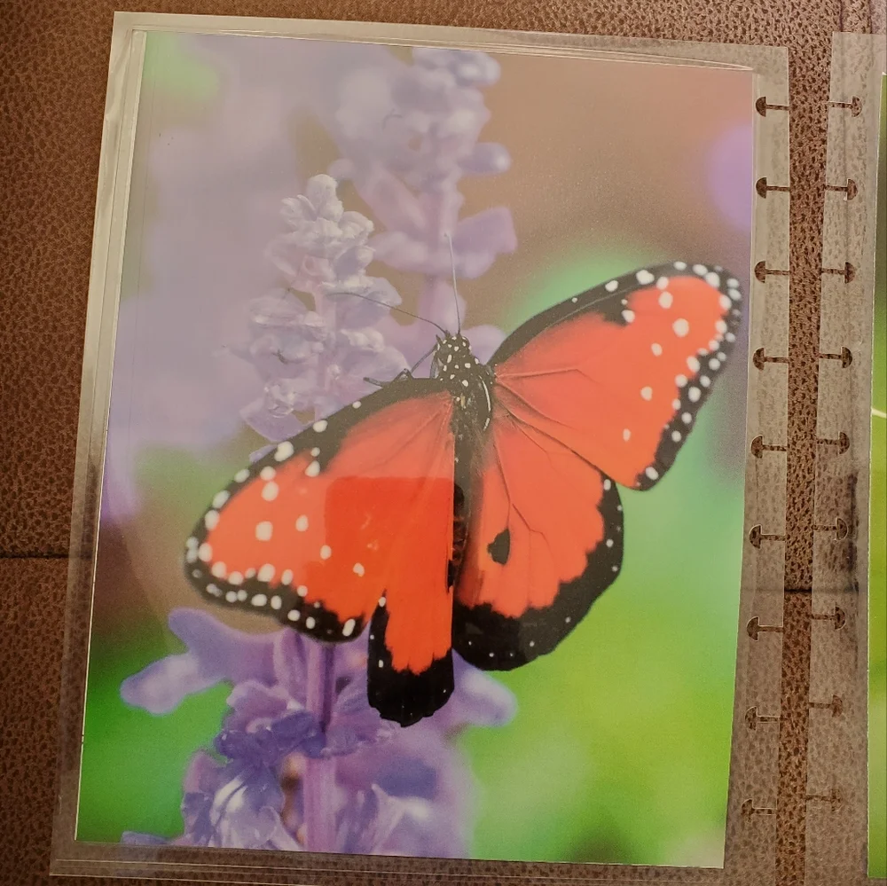 Hand Made cover For A Classic Sized Disc Bound Planner Psalm 31:24 cherry tree